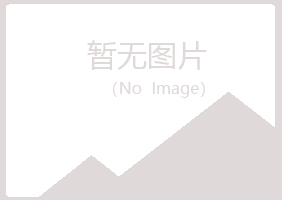 高唐县字迹工程有限公司